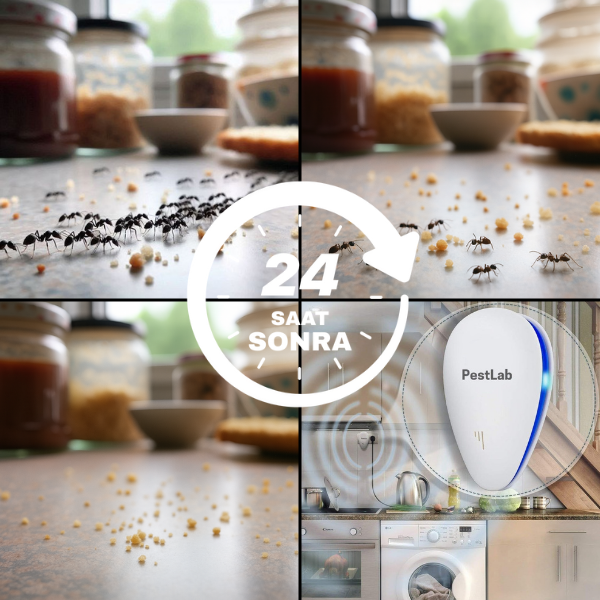 PestLab™ Ultrasonik Haşere Kovucu